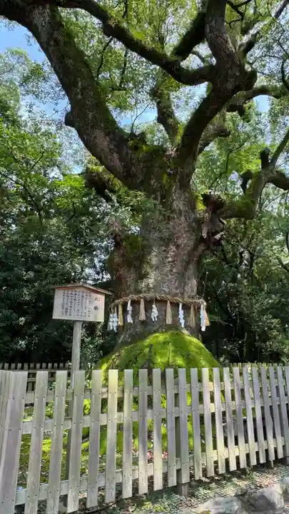熱田神宮(愛知県)