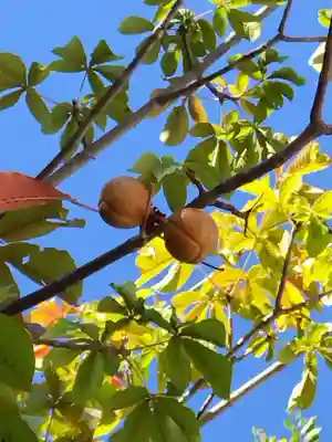 厚別神社(北海道)