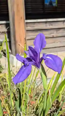 高田寺(京都府)