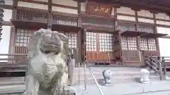 泰叟寺の狛犬