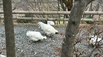 高屋敷稲荷神社(福島県)