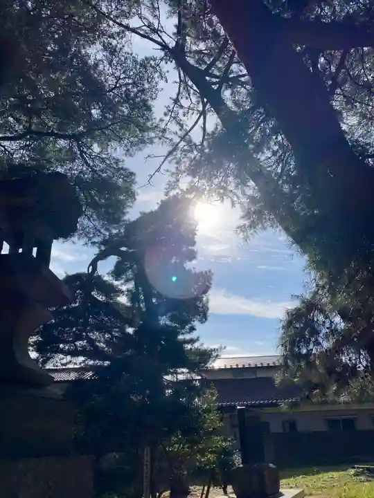 宇倍神社の自然