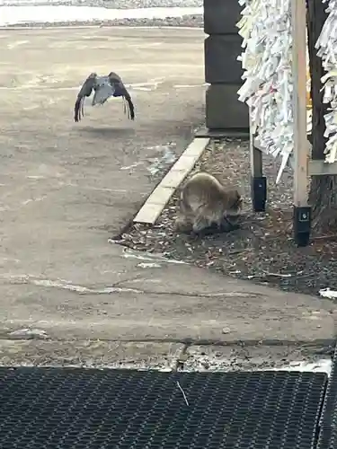 石山神社(北海道)
