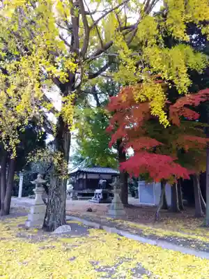 五社神社(滋賀県)
