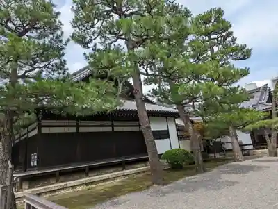 廬山寺(廬山天台講寺)(京都府)