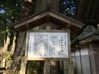 大杉神社(三重県)