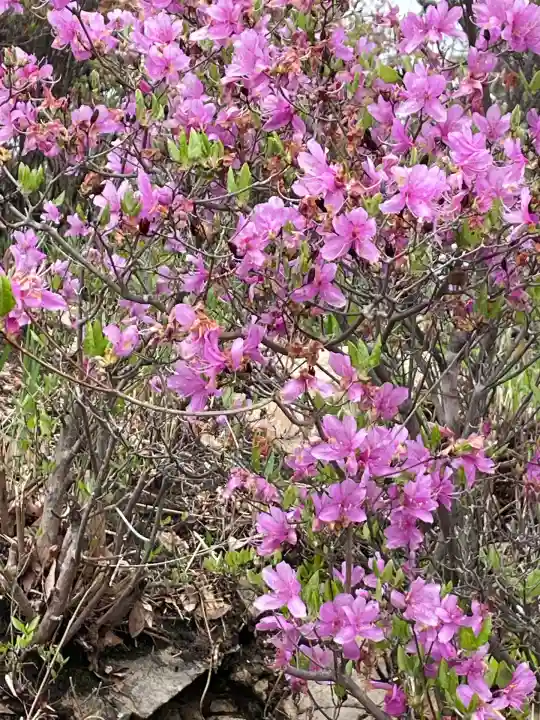 牛窓神社(岡山県)