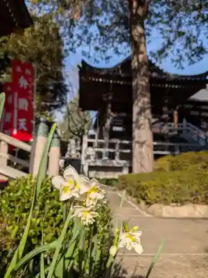 玄国寺(東京都)