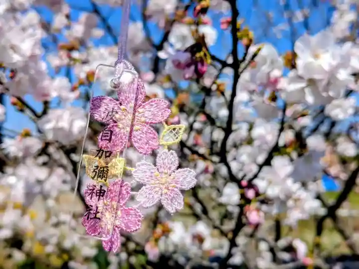 日本唯一香辛料の神 波自加彌神社(石川県)