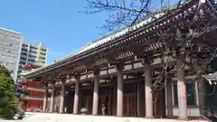 東長寺の建物その他