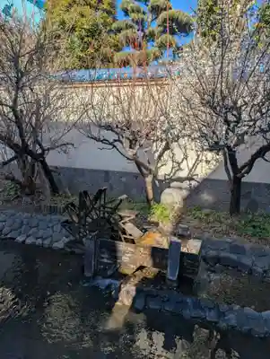 東光院(東京都)