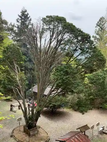 日龍峯寺(高澤観音)(美濃清水)(岐阜県)