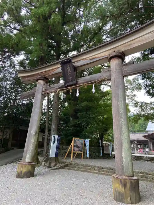 土佐神社の鳥居