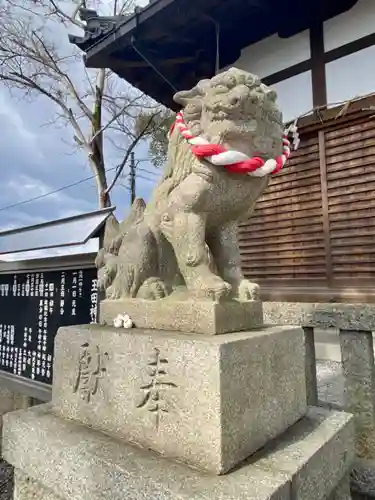 玉田神社の狛犬