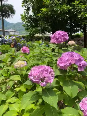 曹源寺(群馬県)