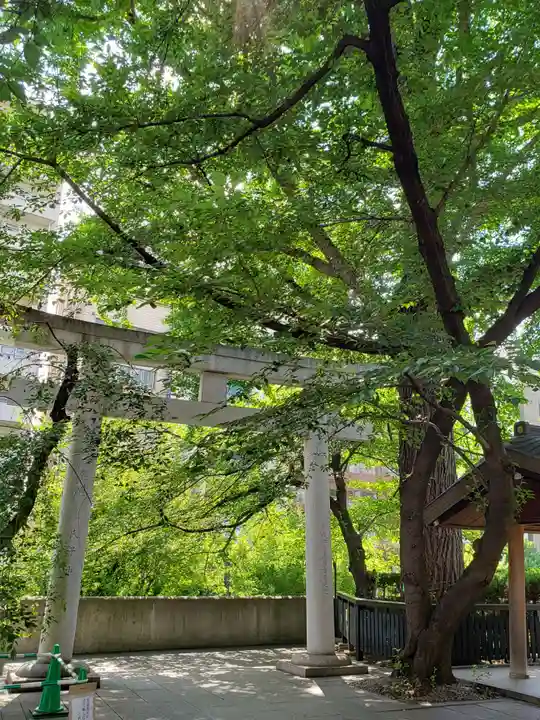熊野神社の鳥居