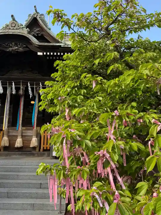 桜神宮の{uncategorized: "未分類", other: "その他", undefined: "問題あり", building: "その他建物", grave: "お墓", sacred_gate: "鳥居", guardian: "狛犬", statue: "像", buddha: "仏像", history: "歴史", nature: "自然", garden: "庭園", animal: "動物", pagoda: "塔", temizu: "手水舎", mountain_gate: "山門・神門", sanctuary: "本殿・本堂", subordinate: "末社・摂社", art: "芸術", scenery: "景色", jizo: "地蔵", ema: "絵馬", goshuin: "御朱印", omikuji: "おみくじ", items: "授与品その他", amulet: "お守り", goshuincho: "御朱印帳", eats: "食事", festival: "お祭り", votive_dance: "神楽", shichigosan: "七五三参", wedding: "結婚式", experience: "体験その他", initially: "初詣", around: "周辺", anti_infection: "感染症対策"}