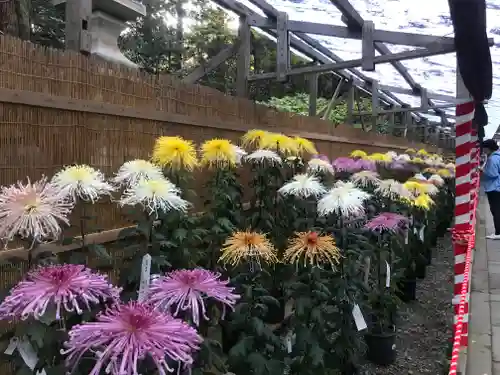 彌彦神社の芸術