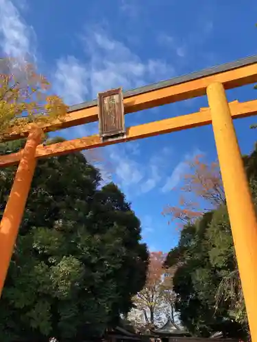 川越氷川神社の鳥居