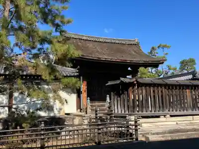 妙心寺（妙心禅寺）(京都府)