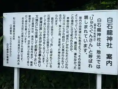 白石龍神社(愛媛県)