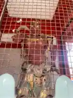 大須観音 (北野山真福寺宝生院)(愛知県)