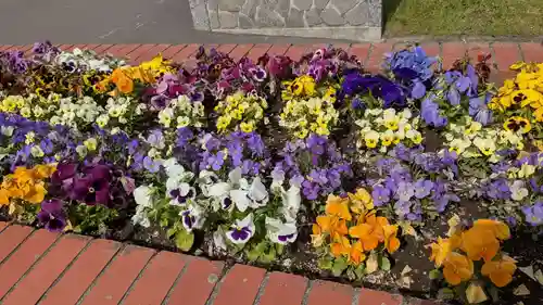 東神楽神社の周辺