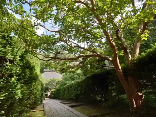 安楽寺のその他建物