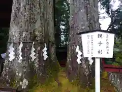 日光二荒山神社の自然