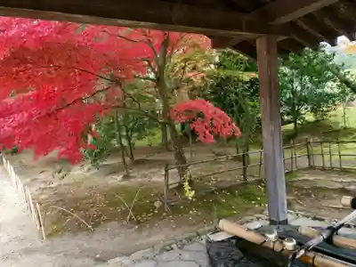 毛越寺の手水舎