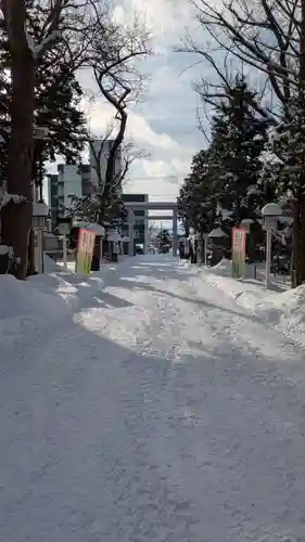 新琴似神社の鳥居