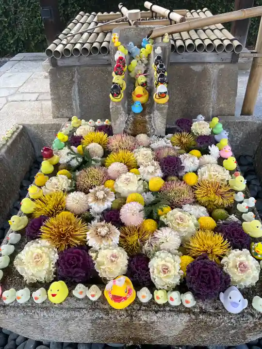 くろ谷 金戒光明寺の手水舎