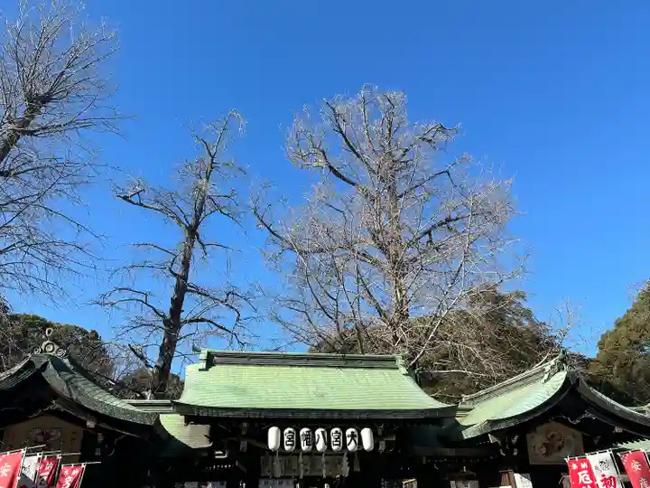 大宮八幡宮の山門・神門