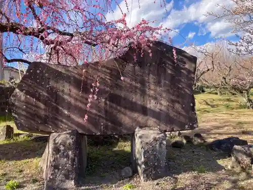 瑞雲寺(神奈川県)