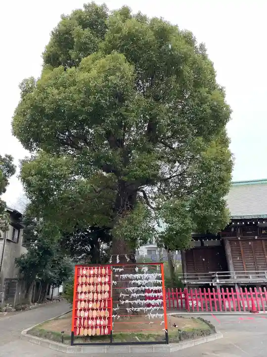 東京羽田 穴守稲荷神社(東京都)