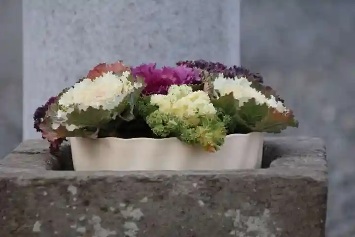 熊野福藏神社の手水舎