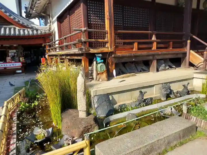 全興寺の{uncategorized: "未分類", other: "その他", undefined: "問題あり", building: "その他建物", grave: "お墓", sacred_gate: "鳥居", guardian: "狛犬", statue: "像", buddha: "仏像", history: "歴史", nature: "自然", garden: "庭園", animal: "動物", pagoda: "塔", temizu: "手水舎", mountain_gate: "山門・神門", sanctuary: "本殿・本堂", subordinate: "末社・摂社", art: "芸術", scenery: "景色", jizo: "地蔵", ema: "絵馬", goshuin: "御朱印", omikuji: "おみくじ", items: "授与品その他", amulet: "お守り", goshuincho: "御朱印帳", eats: "食事", festival: "お祭り", votive_dance: "神楽", shichigosan: "七五三参", wedding: "結婚式", experience: "体験その他", initially: "初詣", around: "周辺", anti_infection: "感染症対策"}