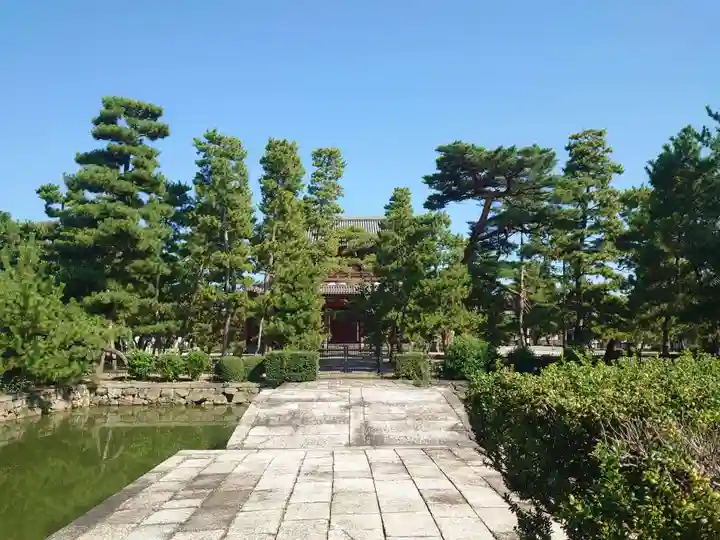 妙心寺(妙心禅寺)(京都府)