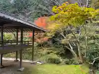 慧日寺(兵庫県)