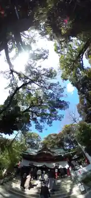 來宮神社(静岡県)