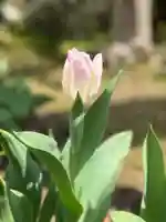 西方山極楽寺(岐阜県)