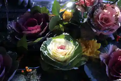 滑川神社 - 仕事と子どもの守り神の手水舎