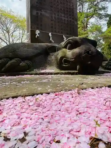 土津神社｜こどもと出世の神さまの狛犬