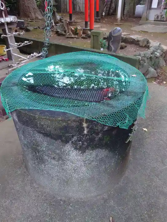 厳嶋神社(千葉県)