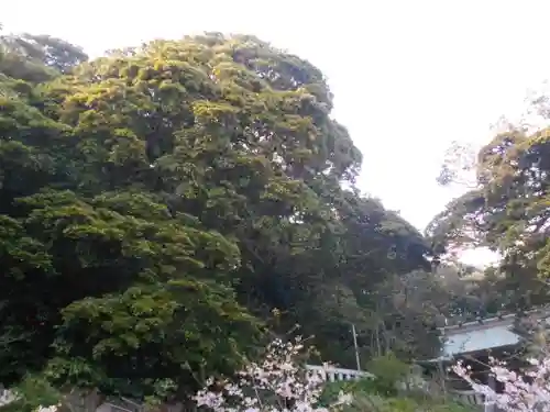 甘縄神明神社（甘縄神明宮）の景色