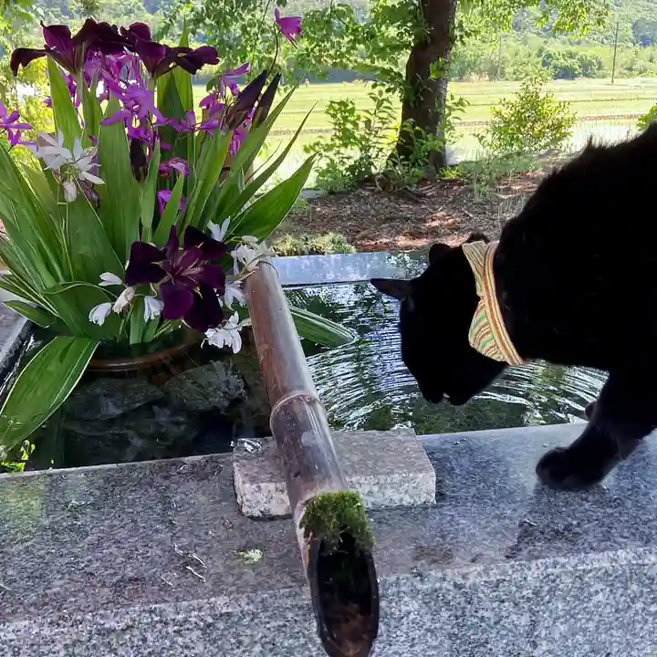 高司神社〜むすびの神の鎮まる社〜(福島県)