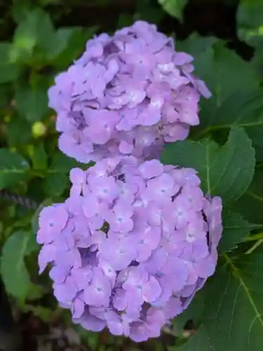 本土寺(千葉県)