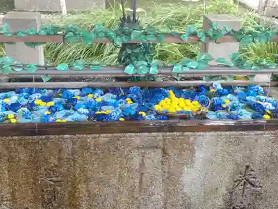 津島神社の手水舎