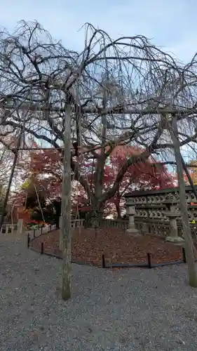 大石神社(京都府)