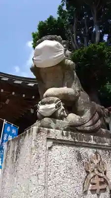 鶴峯八幡宮の狛犬
